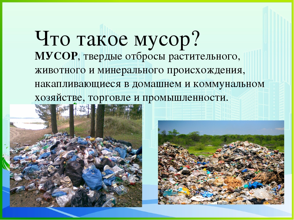 Что означает термин «мусорная цивилизация»