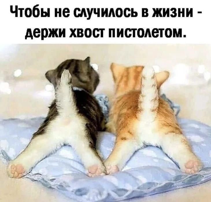 Что означает выражение «хвост виляет собакой»?