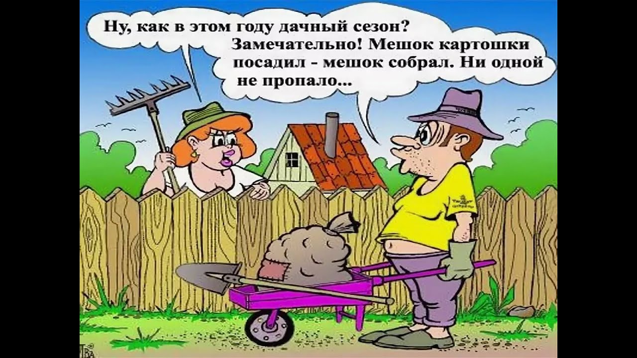 Что значит выражение как земля колхозу | правозащита