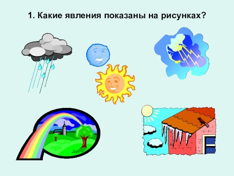 Явления живой и неживой природы - зимой, весной, летом и осенью — природа мира