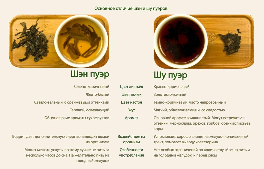 За что люди говорят "давай пить чай": особенности этой фразы и ее значения