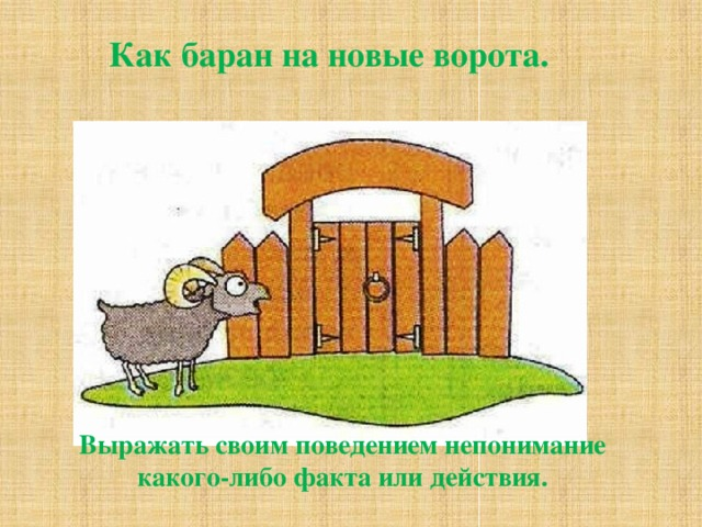 "упёртый как баран" - это про вас? - wiki-otvet.ru