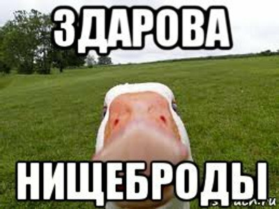 Приветствие "здарова" - история, значения и особенности употребления
