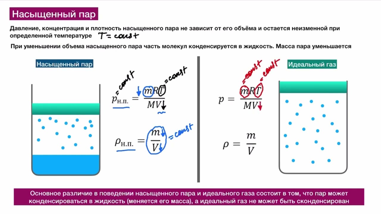 Влажность 8 класс онлайн-подготовка на ростелеком лицей | тренажеры и разбор заданий