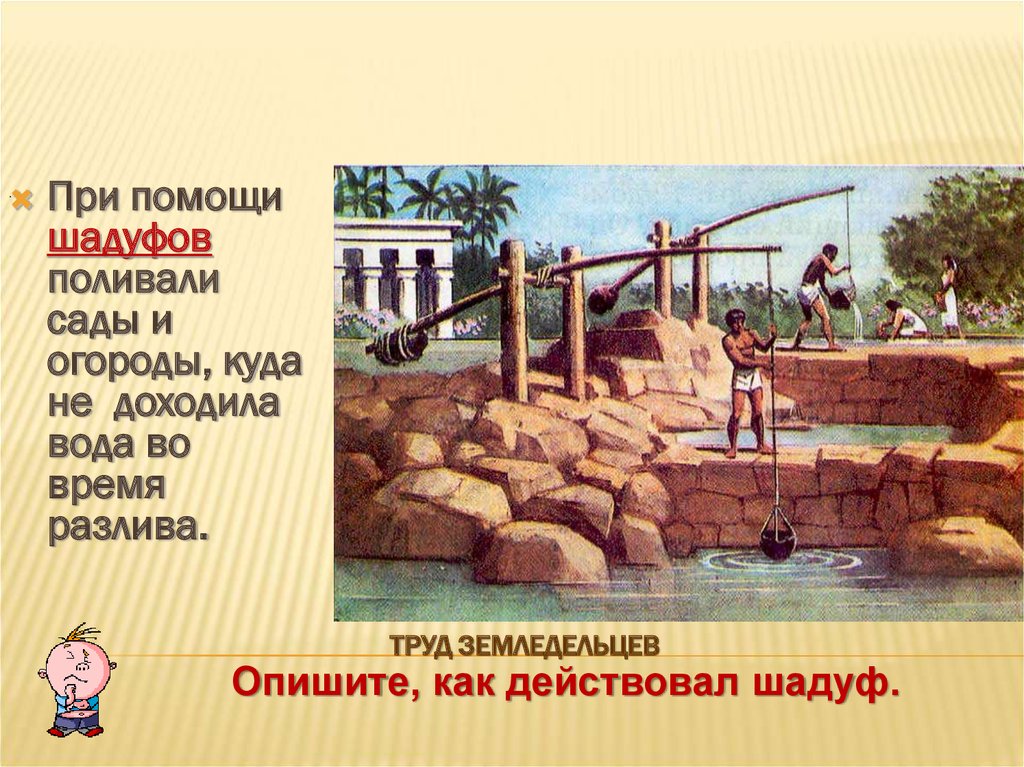 Глава 4 §6-12 древний египет. гдз история древнего мира учебник 5 класс. вигасин, годер