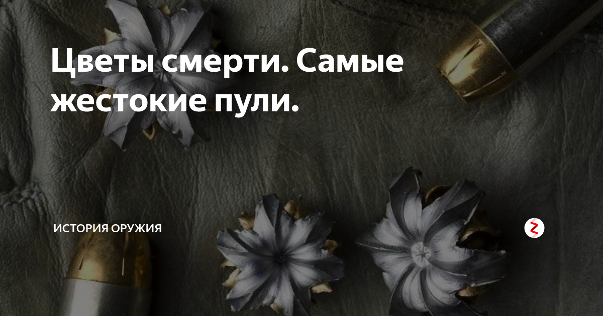 Патроны 366 ткм: характеристики, преимущества, аналоги, отзывы