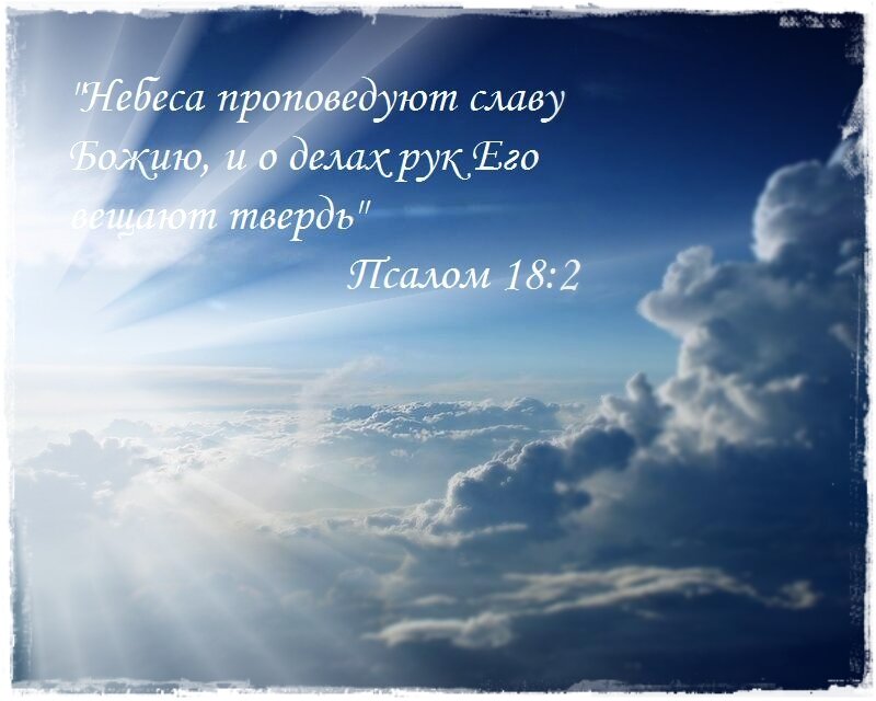 Слава богу, а не человеку. великий спорщик