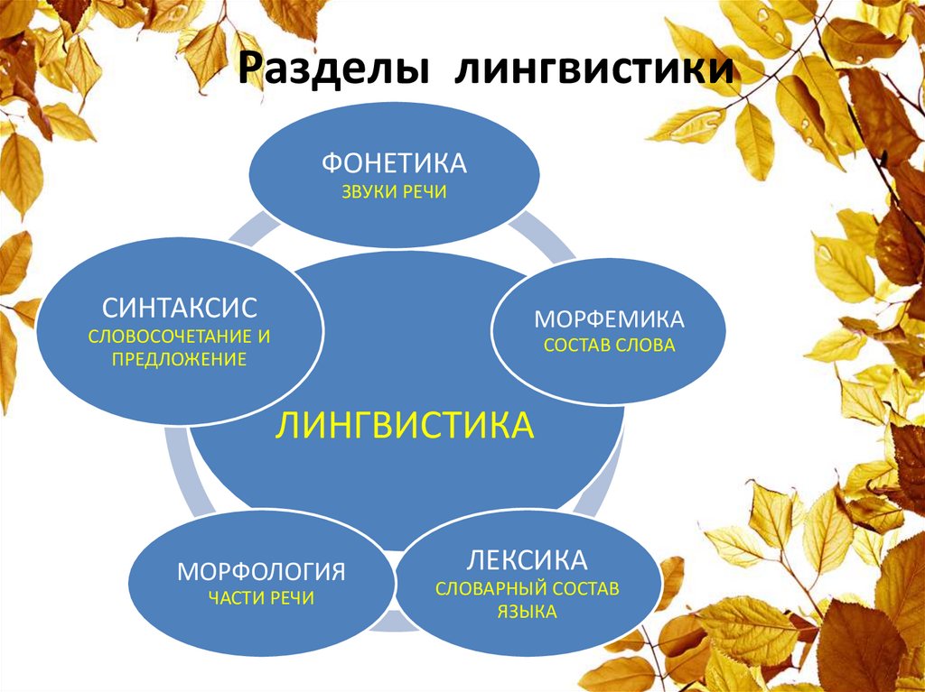 6.1. понятие синтагматики языковых единиц. язык и человек [к проблеме мотивированности языковой системы]
