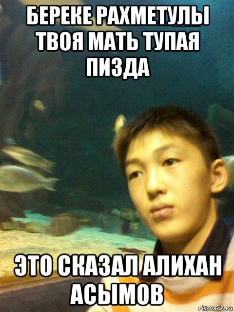 Котакбас: что значит это слово на казахском языке?