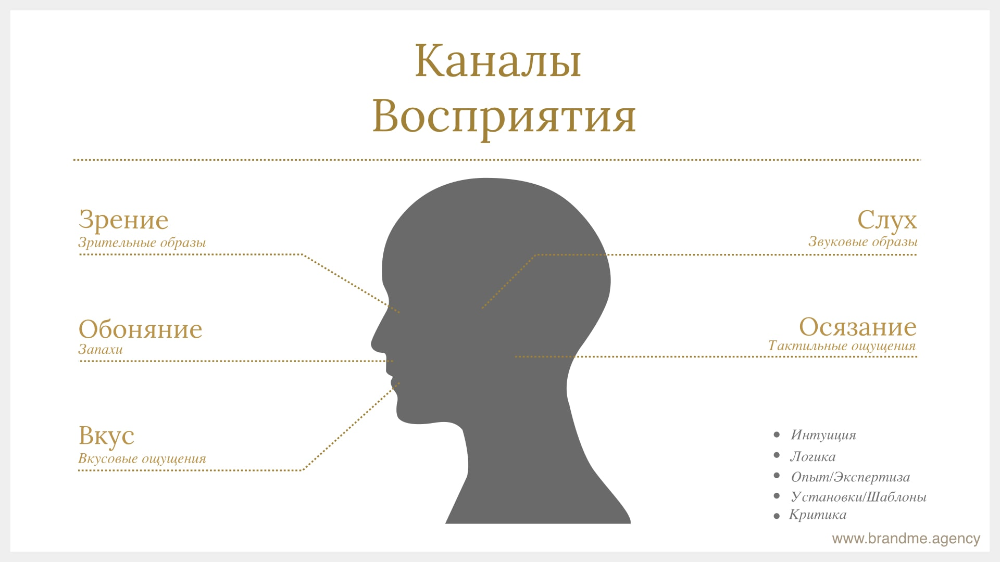 Восприятие и его основные свойства