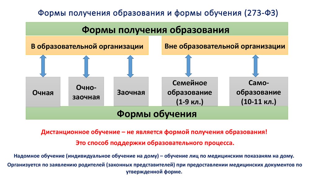 Колония общего режима: что это такое в 2024 году? отличия