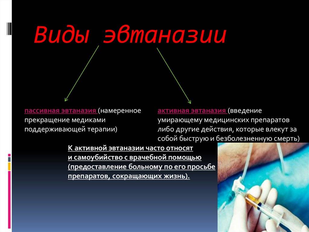 Как усыпить собаку в домашних условиях самому: препараты и дозы