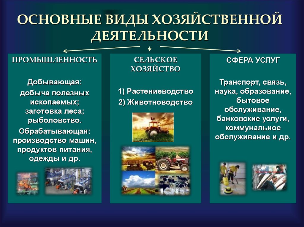 Хозяйственное значение – это понятие, которое неразрывно связано с развитием бизнеса Оно описывает степень полезности или ценности, которую приносит
