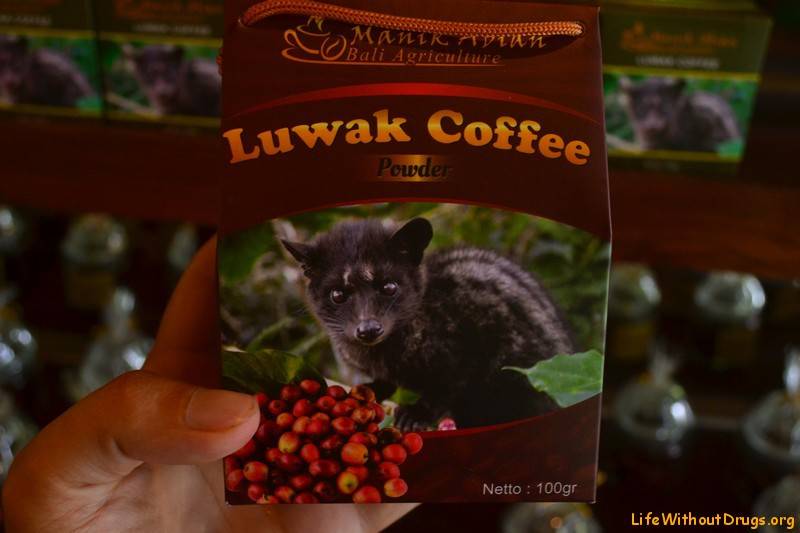 Кофе лунго (lungo) - что такое, рецепт, подача, отличие от капучино и американо