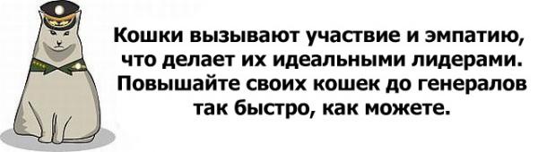 Что означает я воль май фюрер. jawohl, mein fuhrer! nein doch, mein fuhrer! под кого косишь, писяйка? вождь, он же фюрер