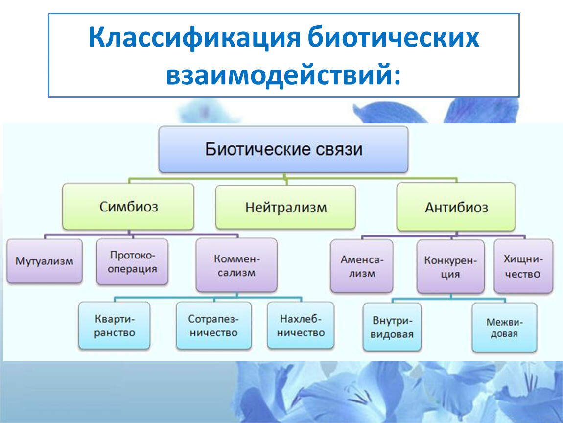 5 стратегий решения конфликтов - блог викиум