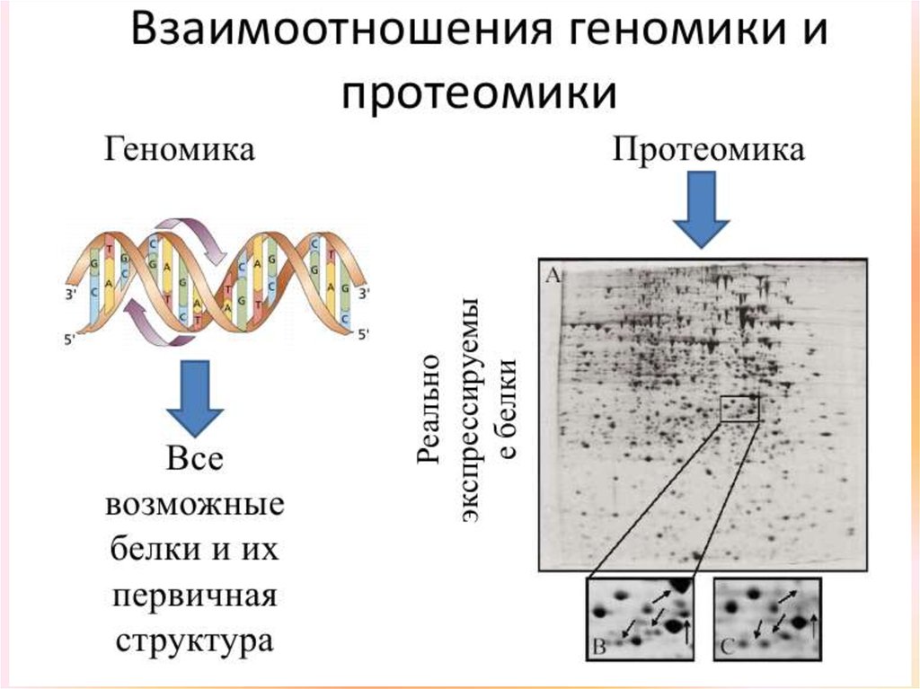 Декантация — отличие и процесс декантации