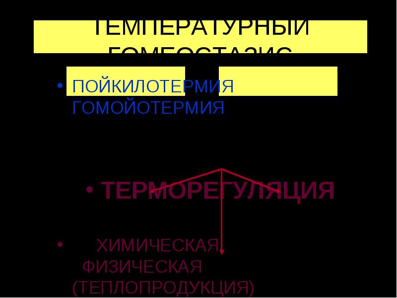 Что значит тепленький человек — особенности и характеристики