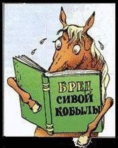 Что значит пришпорить коня
