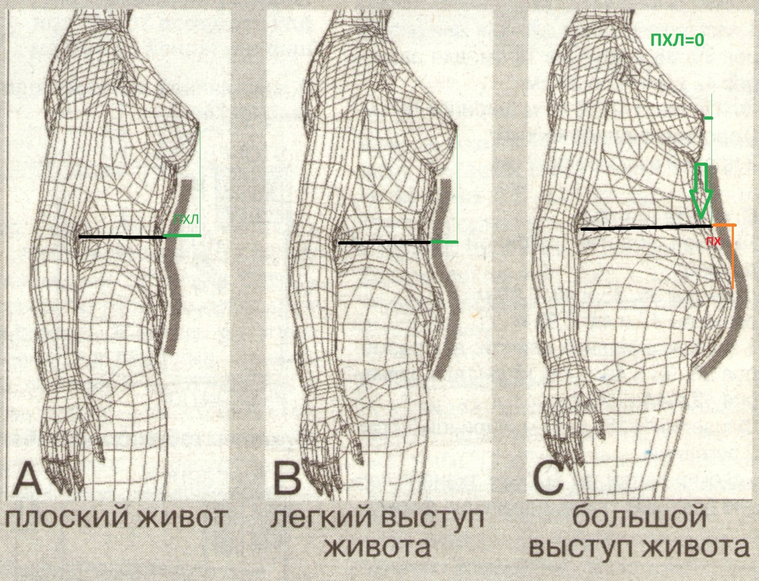 Культура — основные виды, формы, характеристики