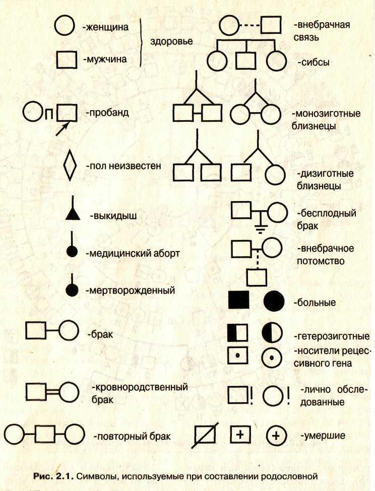 Родственники и родство. краткий путеводитель