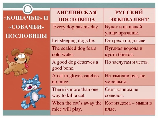 Английские пословицы и поговорки с переводом на русский