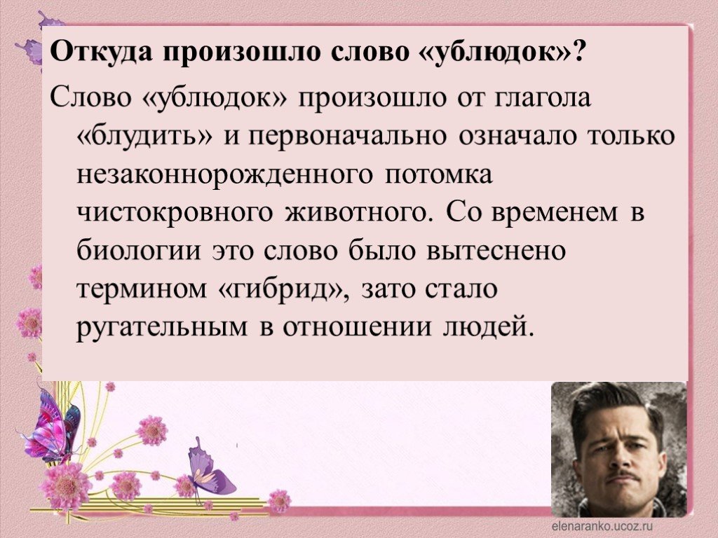 Что такое хамство, примеры, определение