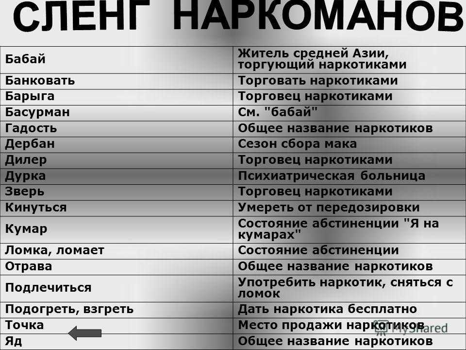 Собачье дело