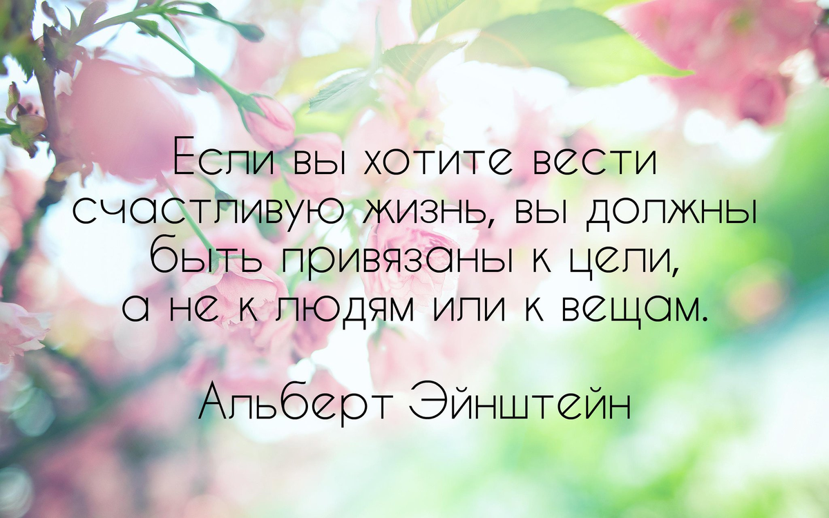 7 известных фраз маркузе | наш ум прекрасен!
