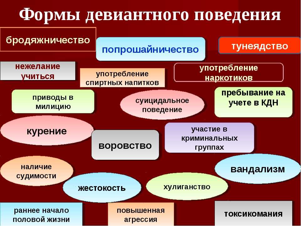Понимаем социальные роли человека: гид для каждого - иван буявец