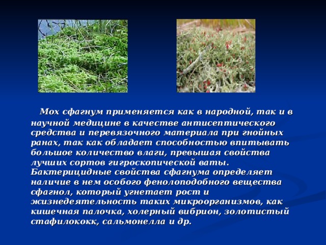Моховая подушка - польза и правила ухода для здорового сна и декоративной красоты | гид по китаю