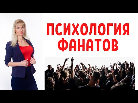 Какие бывают фанаты прилагательные