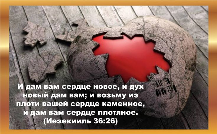 Что значит выражение каменное сердце