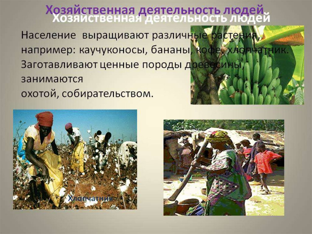 Значение слова «хозяйственный»