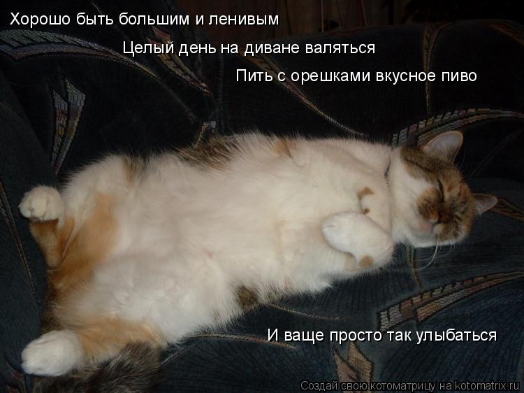 Почухай меня что значит