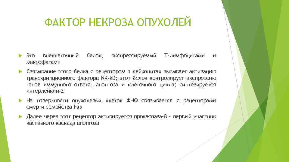 Как выглядит код абонента для сдачи отчетности через портал фнс россии