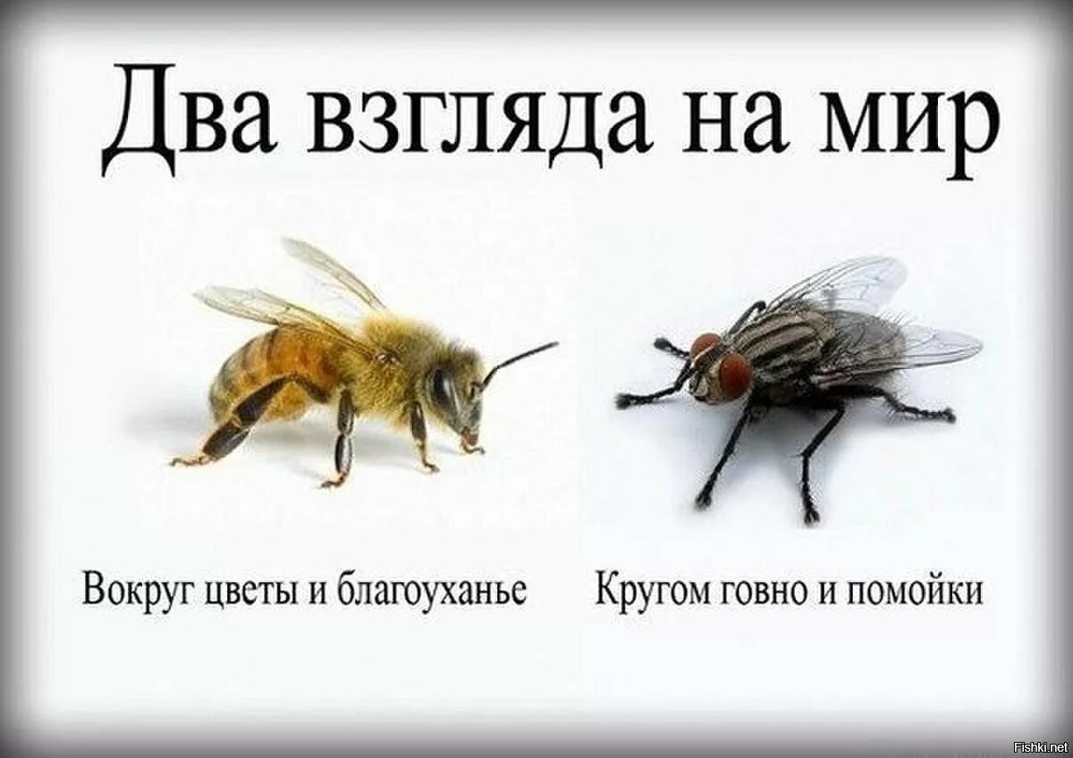 Почему некоторые слова начинают встречаться везде после того, как мы их услышали?