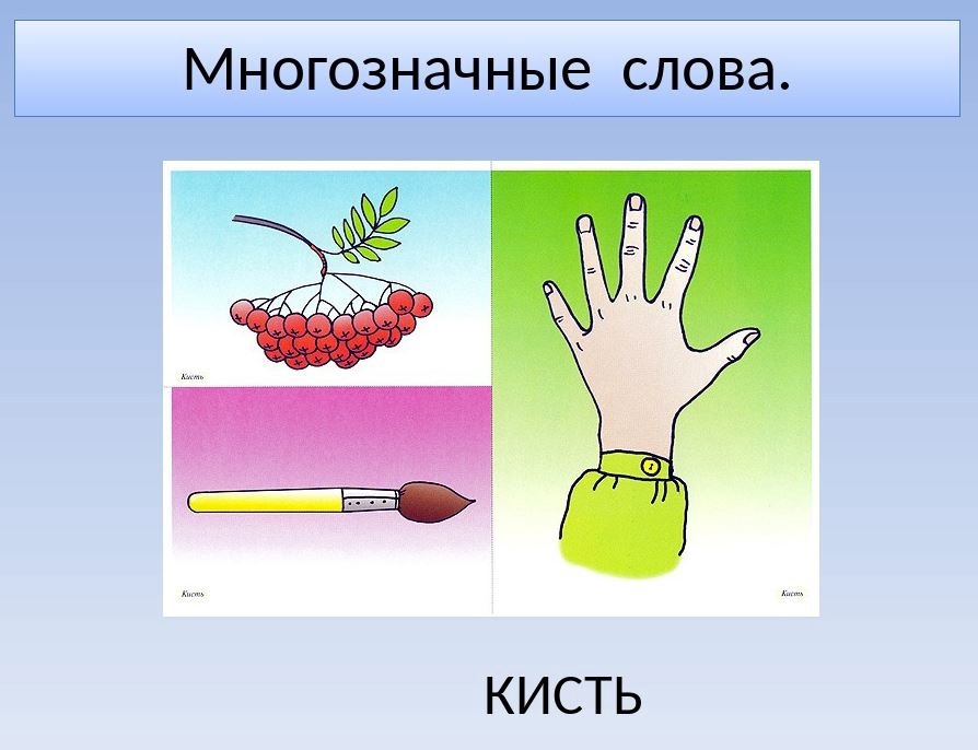 Многозначные слова: примеры в русском языке, что такое многозначность слова. что такое многозначное слово