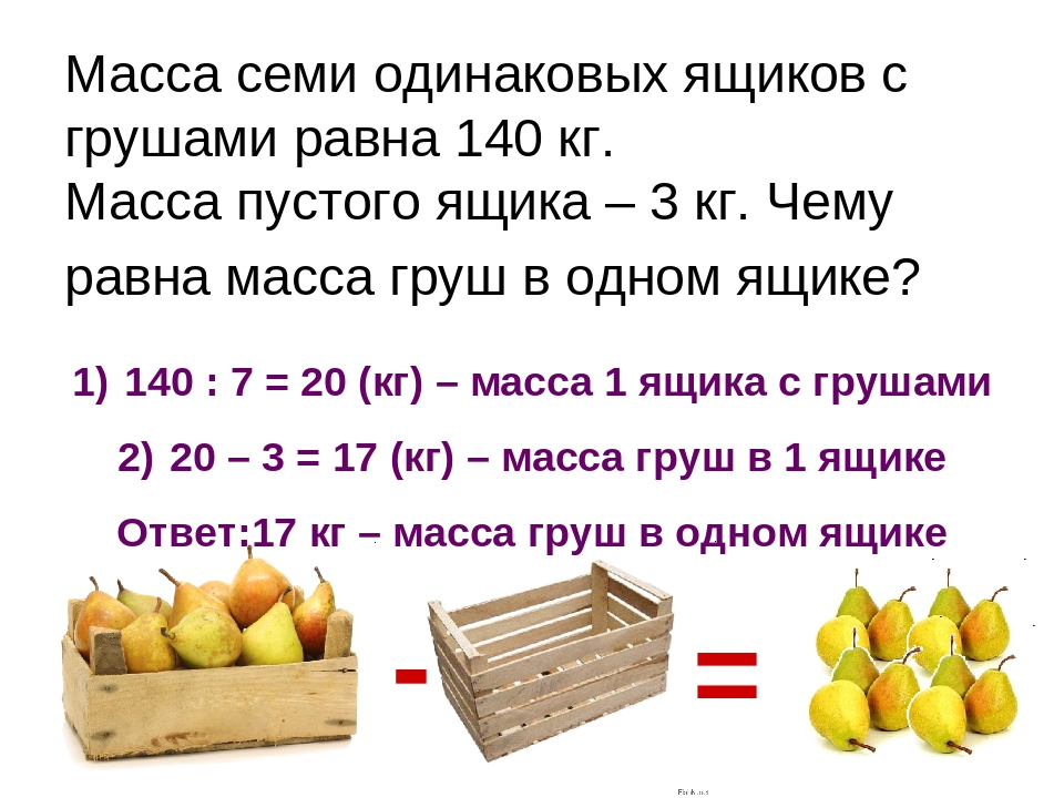 Когда и как правильно собирать кедровые орехи, обработка собранных шишек