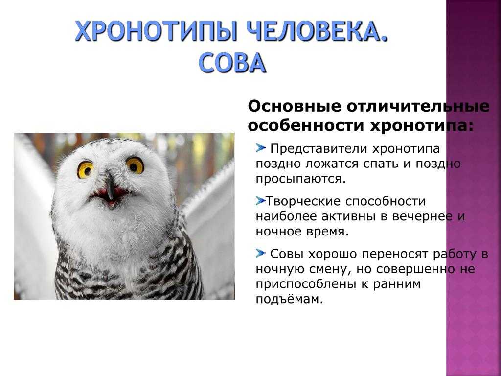 Что означает выражение ветреный человек? - места и названия
