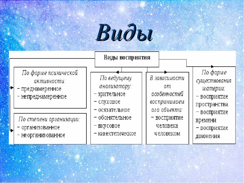 Solla.site линии и формы, психология восприятия линий и форм