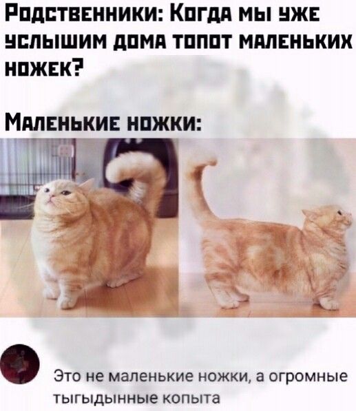 Сказание былины о тыгыдымском коне (научный стиль описания)