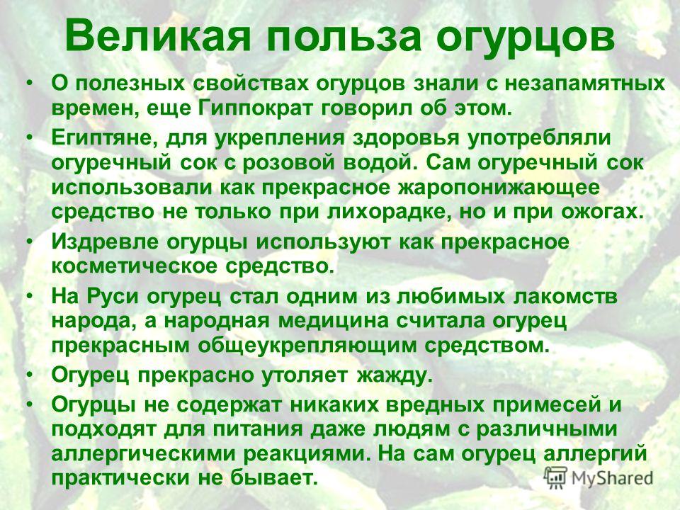 Свежие огурцы - это одно из самых популярных овощей во всем мире Узнайте, почему мы всегда испытываем пристрастие к этим сочным и хрустящим лакомствам