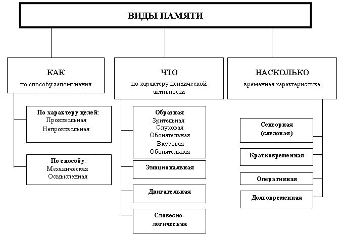 Развитие двигательной памяти