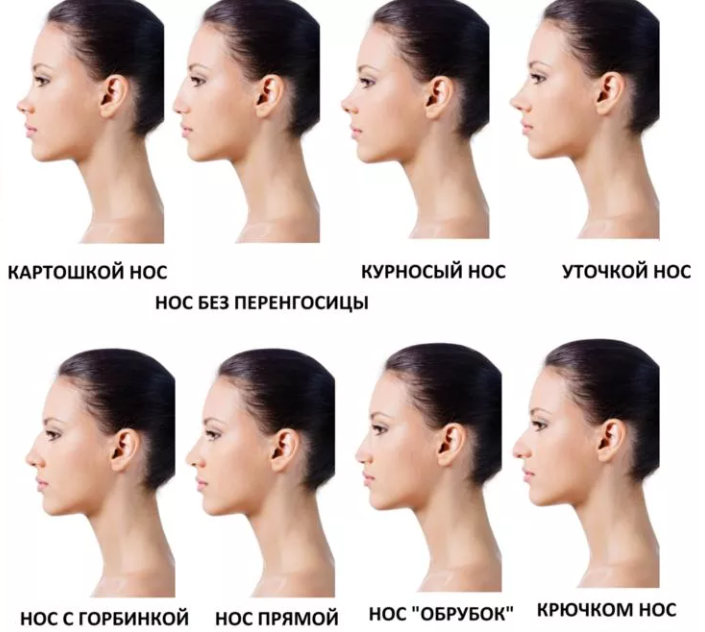 Как определить характер по чертам лица. физиогномика с картинками