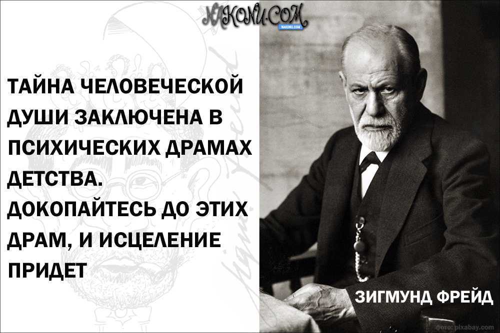 8 фраз из психоанализа зигмунда фрейда, которые помогут противостоять обидчику