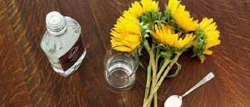 Как сохранить цветы в вазе на воде подольше; подкормка свежесрезанного букета