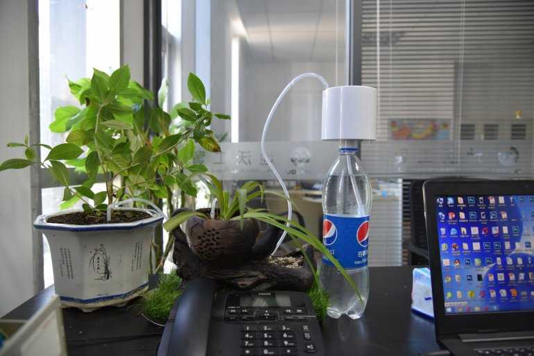 Автономный полив комнатных растений своими руками из пластиковых бутылок