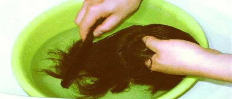 Как стирать парик из искусственных волос в домашних условиях