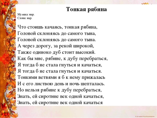 До самого тына: что это значит и как это влияет на нас?